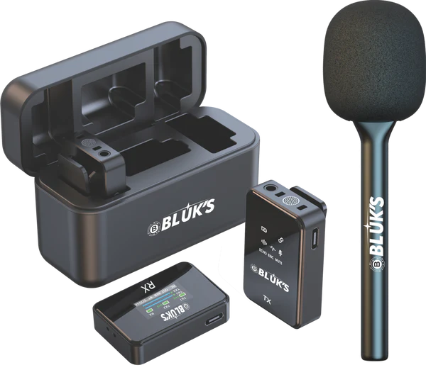 BLUKS BX-222 Double Mic ANC with IPhone & Type C Connector
