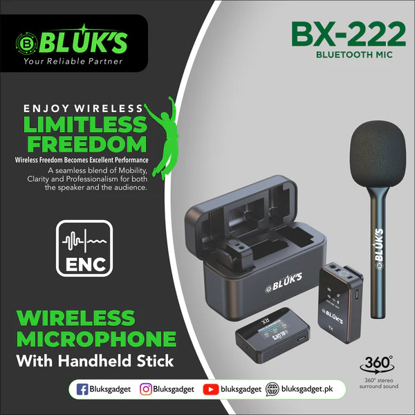 BLUKS BX-222 Double Mic ANC with IPhone & Type C Connector