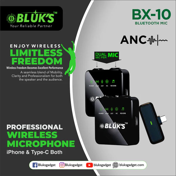 Bluks BX-10 Double Mic ANC with IPhone & Type C Connector
